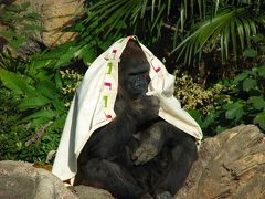 冬　上野動物園