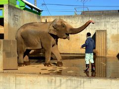 ２２．エクシブ山中湖　ＪＴＣＣ山中湖畔サロン建設予定地前からの富士山　甲府市立遊亀公園付属動物園　ラーメン専科国玉店