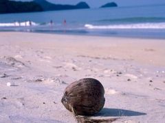 パヤ島と飲み放題カヤックツアーそして雨季のランカウイ島♪