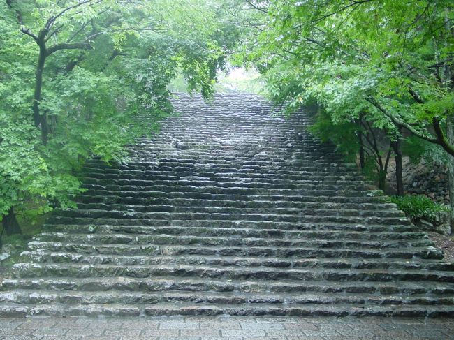 高知の道場は４県の中では一番少なく１６ヶ寺。足摺岬は寺から寺までの移動距離が非常に長い。県内の最長が３７番から３８番で、９４ｋｍ、車で２時間半かかる。<br />鯨は泳いでいないかな？と太平洋を眺めながら、ゆったりした気持ちで巡った。<br />写真は３１番札所　竹林寺（ちくりんじ）