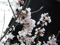 京都桜景色2007　○南禅寺○　