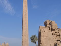2008_1月☆エジプト3日目・カルナック神殿＆ルクソール神殿