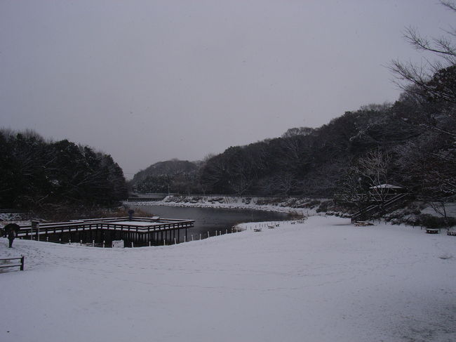 休日の積雪ということで泉の森を訪れた。野鳥ファンは雪でも撮影熱心。雪が降っているときの野鳥の写真も風情があっていいかもしれない。短い雪国の泉の森です。