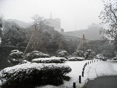 2008年　雪の日比谷公園＆日比谷パレスでお野菜たっぷりランチ