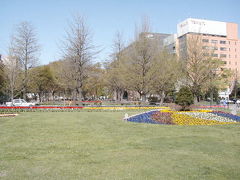 初夏の大通り公園