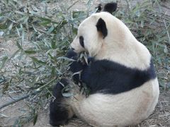 北京の旅―北京動物園、盧溝橋など