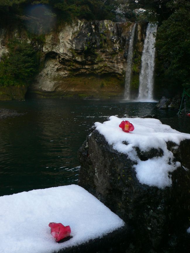 雪降る済州島ですごした年末年始。<br />悪天候で観光どころじゃない、という日もありイロイロあった旅だった。<br />写真は天地淵瀑布の冬景色<br /><br />※【２００８．４．１２記】<br />済州島「ふたこ食堂」は２００８年３月に移転したそうです。<br />場所は旧店舗近くとのこと。<br />旅行記の写真とは違う立派な建物に移転したようです。<br />smeepyさんからご連絡をいただきました。<br />行かれる方は気をつけてください。<br /> <br />※2018.2記<br />わたしが乗船した船は清海鎮海運のオハマナ号ですが<br />2014年4月16日沈没事故を起こしたセウォル号も清海鎮海運の船でした。<br />セウォル号沈没事故で、亡くなった方の御冥福をお祈りいたします。