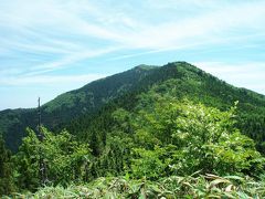 初夏の藤無山