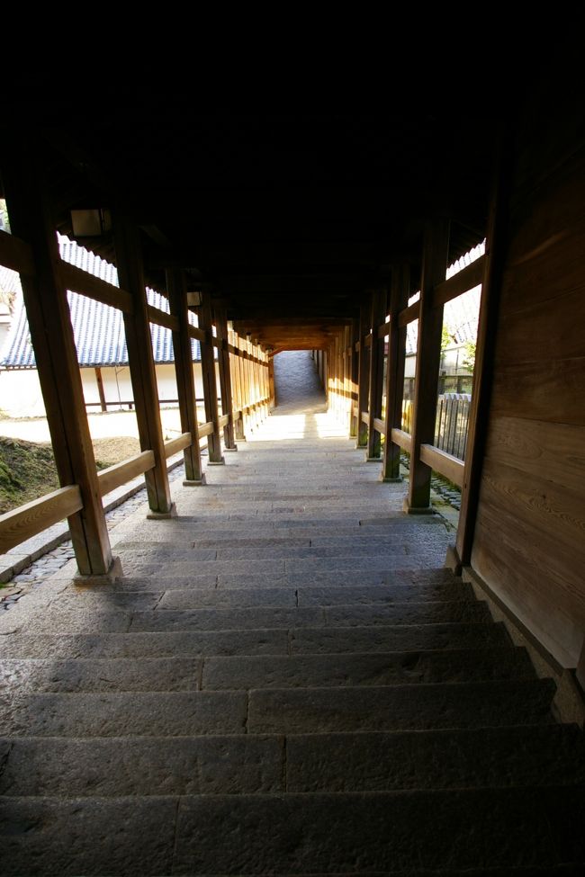 あをによし　奈良の都の　東大寺