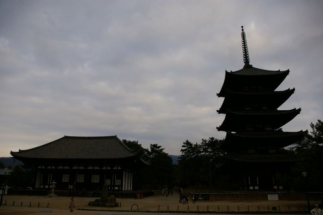 法隆寺、東大寺を見て奈良の３つ目の世界遺産は興福寺。今回宿泊した宿のすぐそばだったこともあり、興福寺の前を２日間行ったり来たり。その割にはじっくり見ることもなく通り過ぎてしまいました。