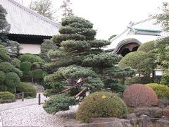 小江戸川越めぐりハイキング　蔵造りゾーン?養寿院