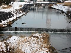 2008冬、名古屋の雪景色(2/2)：天白河畔の雪景色、雪ダルマ、頭がないので雪饅頭