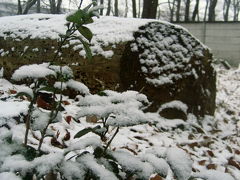 三度目の正直、近所の雪景色