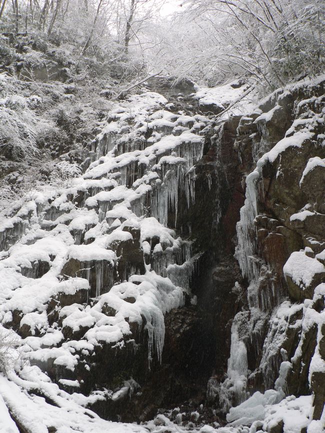 かねてから一度見たかった氷結した裏六甲山の七曲滝へ行ってきました。<br />昨日の雪が残る有馬温泉街から六甲有馬ロープウェイの有馬温泉駅へ抜け、いよいよ登山道に入る。<br />まるで冬山のごとく雪が積もり、早速アイゼンを装着。<br />時折粉雪が舞う中、六甲山中腹の七曲滝を目指す。<br />途中ロープ伝いに沢を降りる個所もあるが、アイゼンのおかげで滑ることもなく、およそ１時間で念願の七曲滝に到着。<br />七曲滝は落差約２０ｍ。この時期氷結して、厳冬の自然美をつくりあげている。都市部からこれ程近くで氷結した滝を見られる場所は少なく、今日も多くのハイカーが訪れていた。<br />自然の美しさに感動し、寒さを忘れて見入ってしまった。<br /><br />