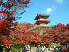 晩秋の京都を訪ねて