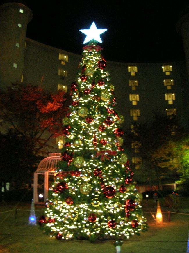 グランドプリンス京都での中にはでは、クリスマスのライトアップがされたいました。