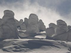 蔵王の樹氷