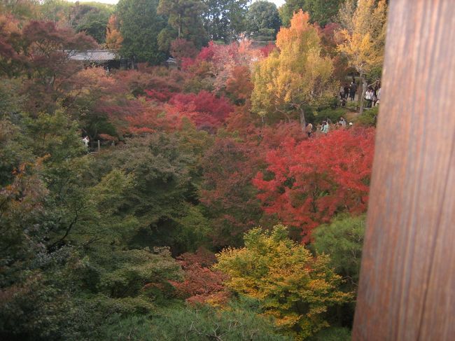 今年(2007年)はとても暑かったので秋を飛ばして冬が来る<br />のではないかとよく話していた。さすがに秋が無くなる<br />ことはないだろう。徐々に寒くなってきているし。<br />紅葉の見ごろはいつだろう？今か今か？と思いつつタイ<br />ミングを見計らう。<br />もし紅葉してなければ京都の町を楽しんでくればいいや<br />と思い切って出かけました。完全な紅葉には遠かったけど<br />緑と赤のコントラストもきれいでしたよ。