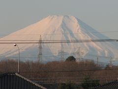 ふじみ野市からの富士山