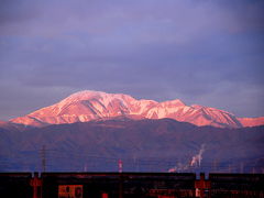 冬の伊吹山あれこれ