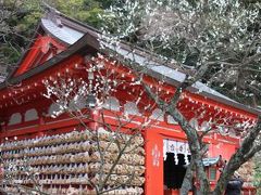 鎌倉散歩：梅は咲いたかな？