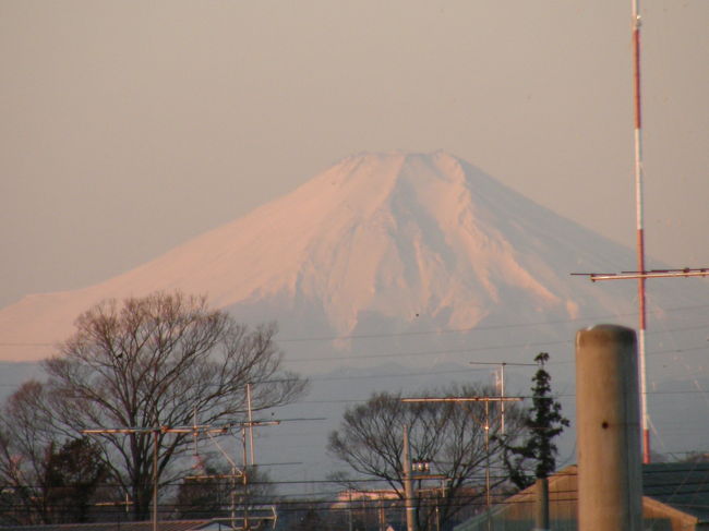 新しいカメラの機能に慣れるためと<br />何時も肉眼で遠くに見ていた富士山を写真に撮りたいと<br />朝早くから駆け回った<br />旅行記です。<br /><br />ここ数日、関東地方は西高東低の冬型の気圧配置<br />快晴の日が続きます。<br />今朝(2/18)もまだ暗い星空の下、何時もの時間に自宅を出発<br />ウォーキングをしながら日の出にあわせて<br />富士山の撮影スポットに向う。<br /><br />写真は６時４５分頃ファインズームで富士山撮影