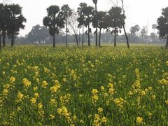 デリーからカトマンズへ突っ走れ！！　?　inポカラ