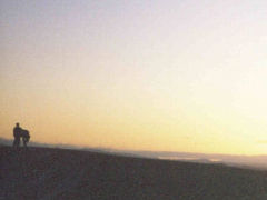 車で鳥取　★砂丘と大山'99