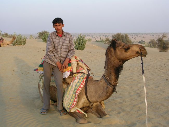もう二度と来ない・・・と、言いながら三度目のインドです。<br />パキスタンとの国境近くラジャスタン州ジャイサルメールへ行って来ました。<br />私に大きな声を出させるんじゃないよ、うざいガイドや客引きがいっぱいでバスから降りられない。<br />ネットの速度が遅すぎて、ネット屋で切れそうになりました。