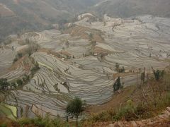 ベトナム雲南　少数民族街道の旅（５）～猛品棚田～