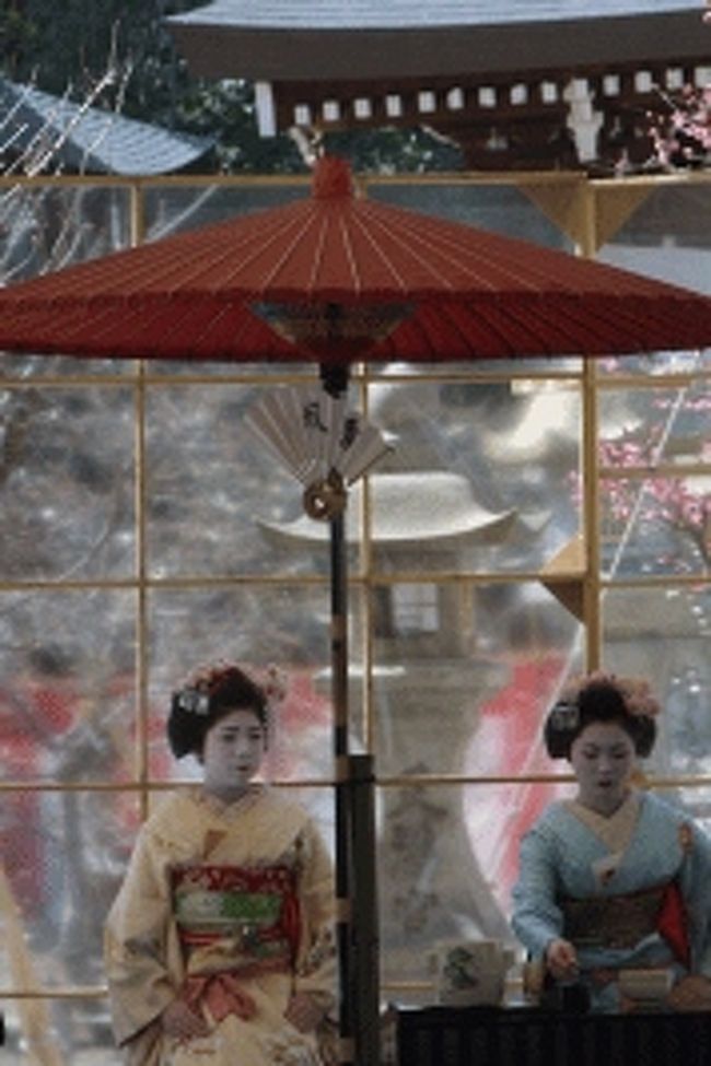 ２００２年２月下旬に京都・北野天満宮で行われた「梅花祭」のメイン行事である上七軒歌舞会の芸妓・舞妓総動員による野点の模様を６６枚の写真でリニューアルアップしました。<br /><br /> 毎年２月下旬に行われる梅花祭（野点）を前に一足早くスライドショーでお楽しみ下さい。<br /><br />「魅惑の（旅）写真館」のＨＰアドレスは<br /><br />　　　http://udonji.com/<br /><br />です。<br />注）スライドショーは写真を呼び込むのに時間を要します。　ホームページやスライド・メニューの立ち上がりにはブロードバンドで数秒〜十数秒掛かります。