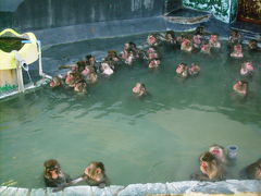 いい湯だな：おサルさんの温泉がある、「函館市営熱帯植物園」