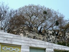 2008新春、中国旅行記13(4/32)：2月18日(2)：マカオ、木に吊り下げられた鳥籠のメジロ