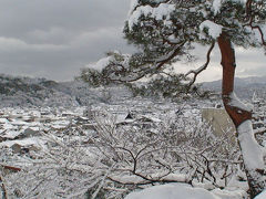 白川郷ライトアップと雪の兼六園（後編）