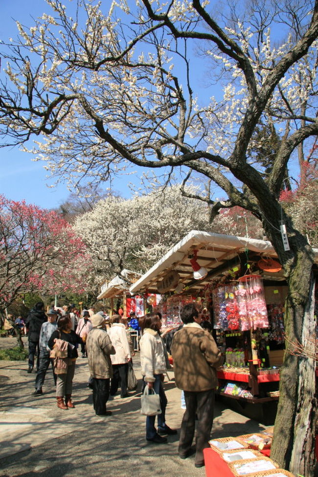 熱海梅園