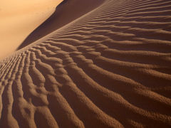 アルジェリアの砂漠1300キロの旅　　５　ベニ・アベスの博物館    Beni Abbes, Algeria