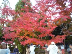 紅葉の嵐山・2007秋