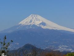 はとバスで伊豆長岡へ