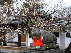 京都日帰り旅行