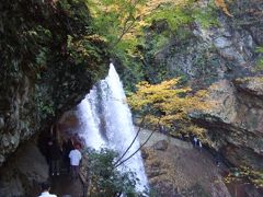 秋の信州　2007　白馬～高山村松川渓谷