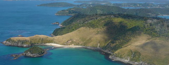 スチュワート島 旅行 クチコミガイド フォートラベル ニュージーランド Stewart Island