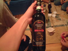 2002年夏ハンガリーの首都・ブダペストその４　その他もろもろ