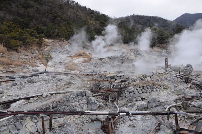 西登山口バス停から乗ったバスは、山道をどんどんと登り、30分足らずで雲仙の温泉街へと入った。<br />降りたのは、雲仙お山の情報館というバス停。<br />この日の宿は、そのバス停の斜向かいにあるのだ。<br />雲仙温泉を訪れるのは、およそ８年ぶり。<br />とりあえず宿泊の手続きを済ませ、雲仙地獄を散策後、前に訪れることが出来なかった仁田峠に行ってみることにした。<br /><br />※2021.02.19　再公開（表紙写真の変更、写真の追加、文章の書き直し）