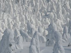 猛吹雪で死ぬかと思った！蔵王の樹氷＆ライトアップ