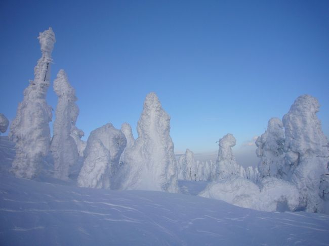 蔵王の樹氷を見に行ってきました！<br />最近話題のワイルドモンスターに乗ってきました！<br /><br />樹氷を見るのは天気にかなり左右されます。<br />今回は地元のガイドさんも羨ましがるほどの大快晴！<br />周りの山まですっきり見渡せ、樹氷の白さと空の青さがとってもキレイで、久しぶりに感動しました！<br /><br />天気に恵まれ、最高の樹氷ツアーでした♪♪♪<br />