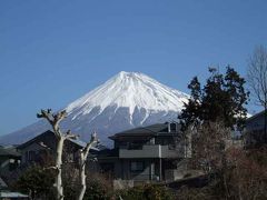 デジカメの試し撮り