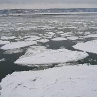 2008年2月網走･流氷ツアー（１）