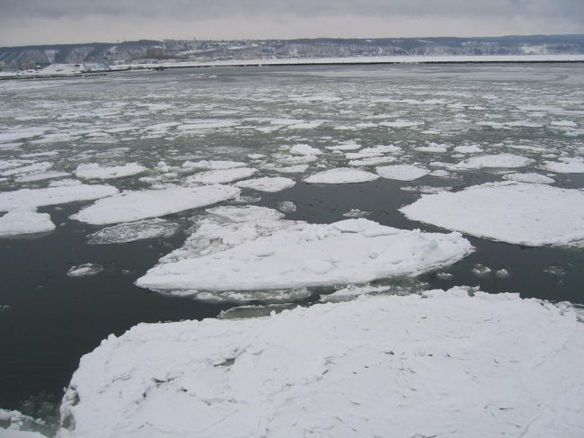 2008年2月網走･流氷ツアー（１）