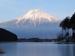  富士山を見に『愛犬モモ』とドライブ