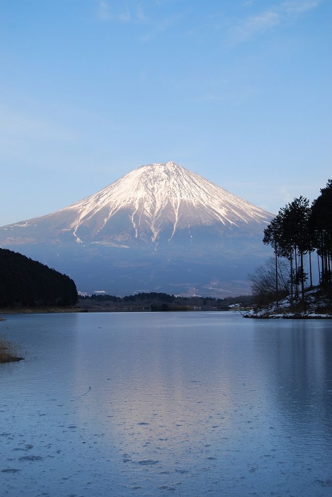 いつも埼玉県より富士山を北側から見てますが南側からの富士山を見に行こうと<br />ドライブに出かけました。愛犬「モモ」も一緒です。<br />下調べもせず気の向くまま『白糸の滝』『朝霧高原』『田貫湖』と回りました。<br />最後の田貫湖は「富士山の山頂から昇る太陽がダイヤモンドのように輝いて見え、これが湖面に映る」という「ビューポイント」を見つけたので次回はここに泊まってみたいと思いました。<br /><br />ランチをした「まかいの牧場、農場レストラン」はテラスならペットＯＫ。<br />バイキングなので地元とれたて野菜、チーズ、手作りパン、ケーキetc.沢山食べてきました。<br /><br />まかいの牧場　:　http://www.makaino.com/<br />農場レストラン : 　http://gourmet.gyao.jp/0003018473/